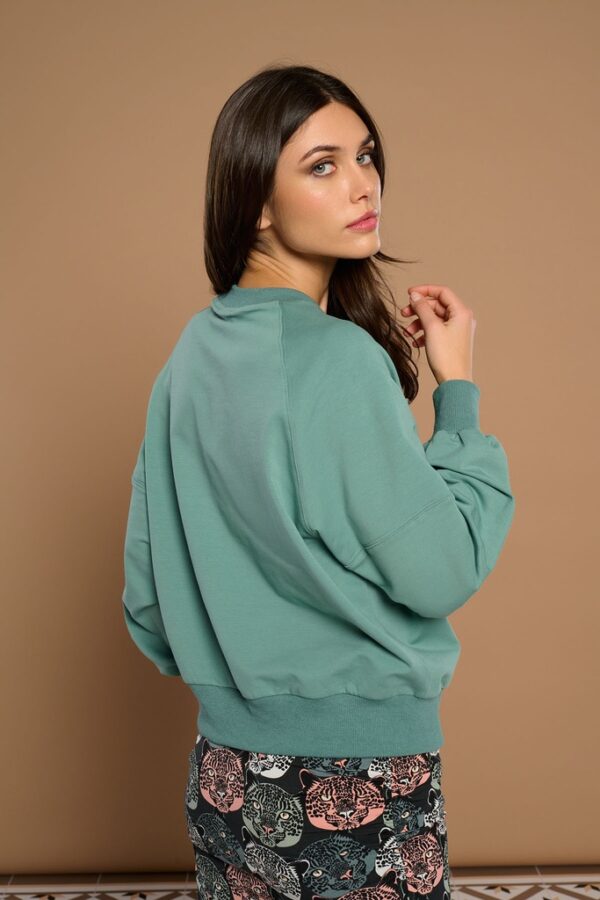 SUDADERA MINUETO GATTO - Imagen 4